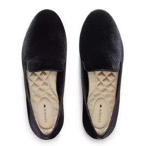 Birdies - The Starling Flat